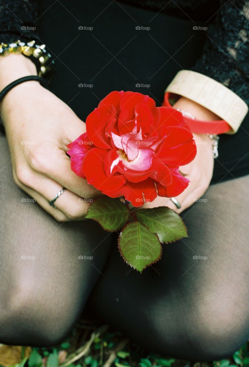 rose in hands #2