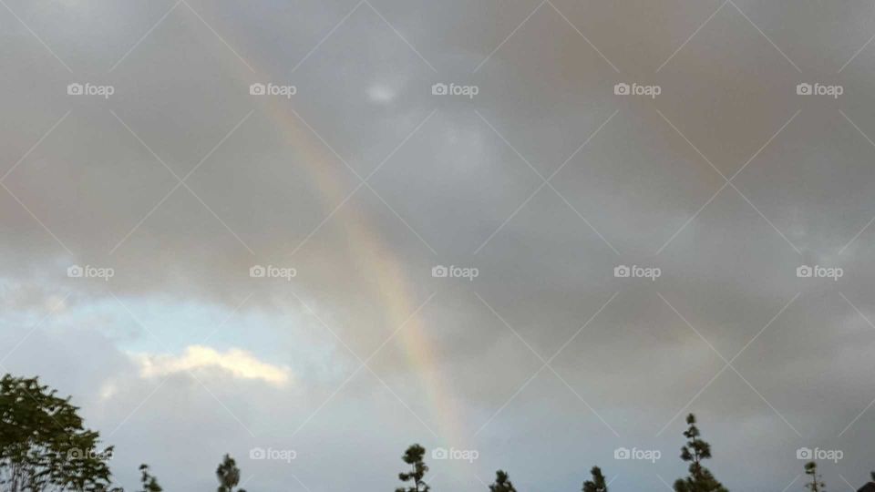 Here comes the rainbow