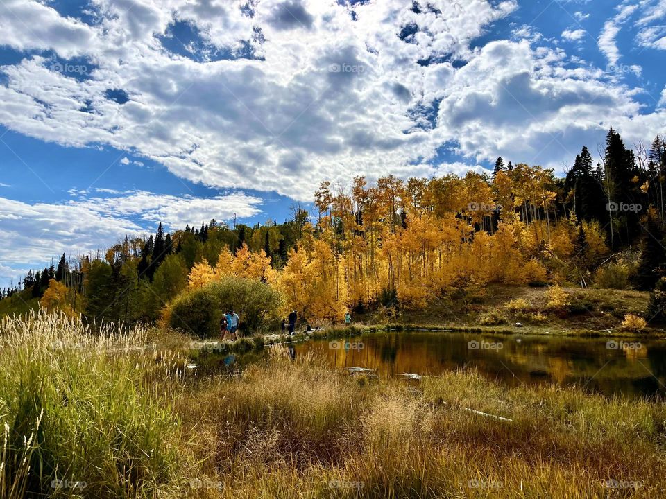 New Mexico Fall