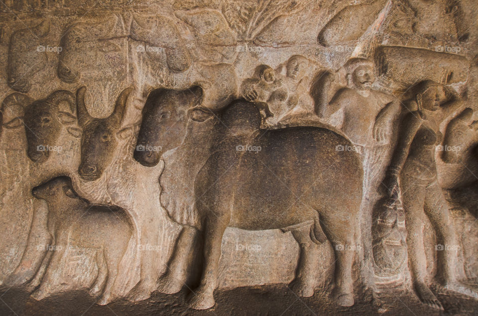 Ancient rock sculptures of Mahabalipuram from Pallava Kingdom, India