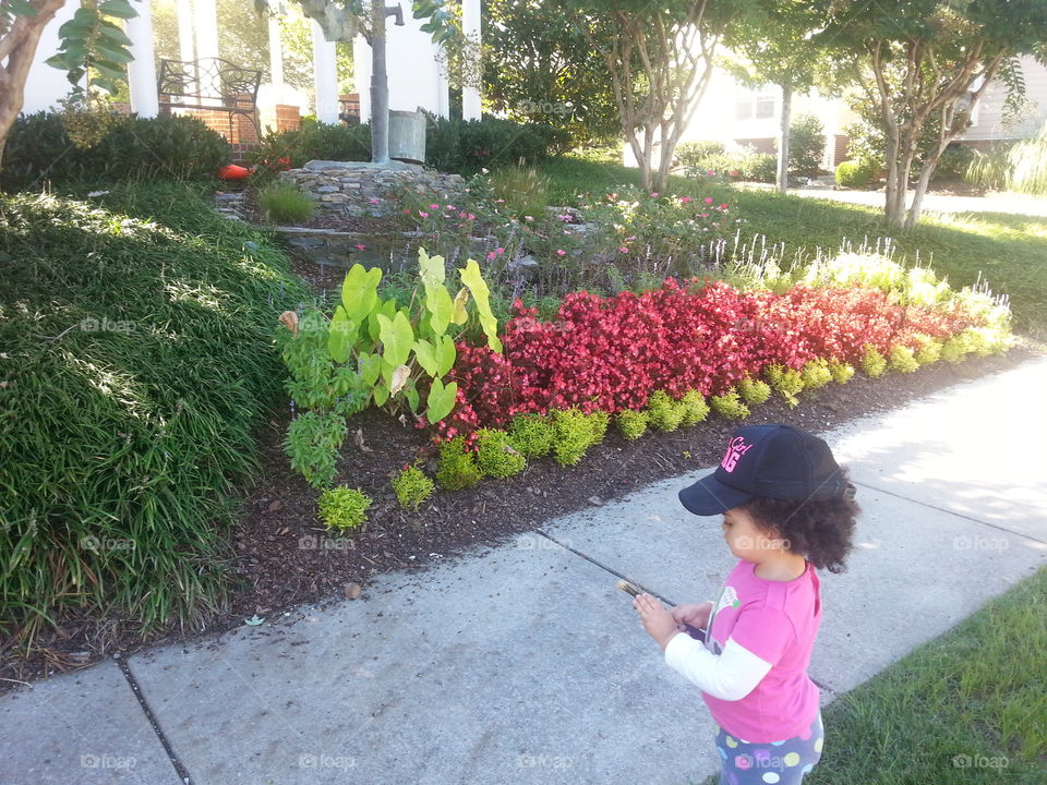 Colorful garden