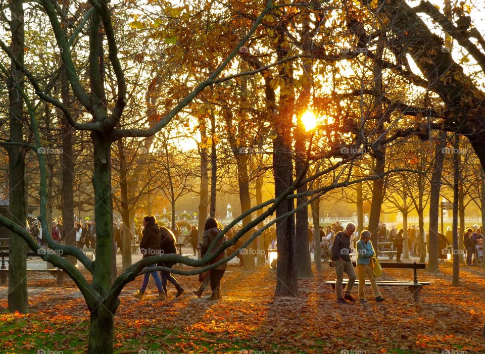 Luxembourg Gardens at sunset, Paris