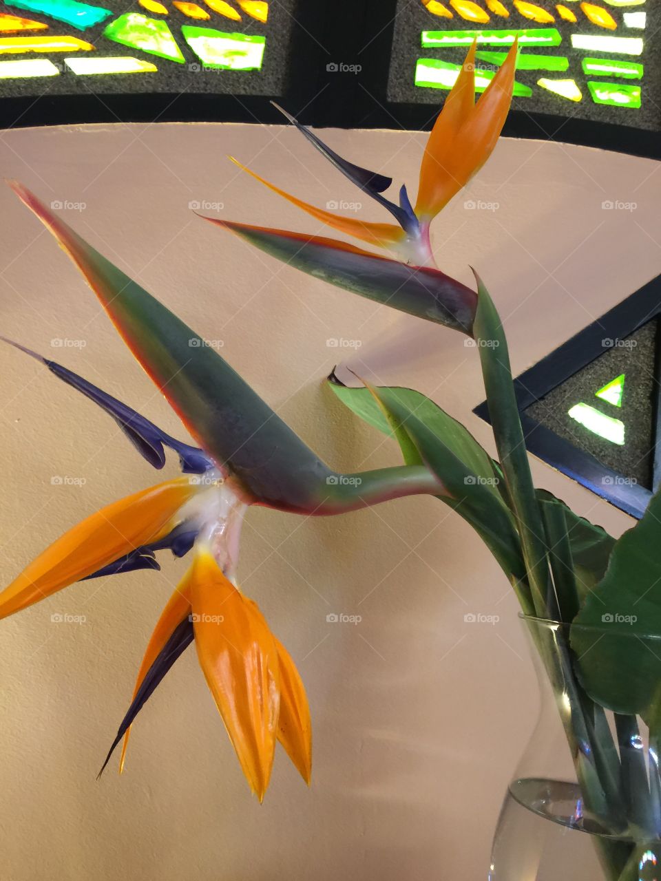 Birds of paradise in vase in church
