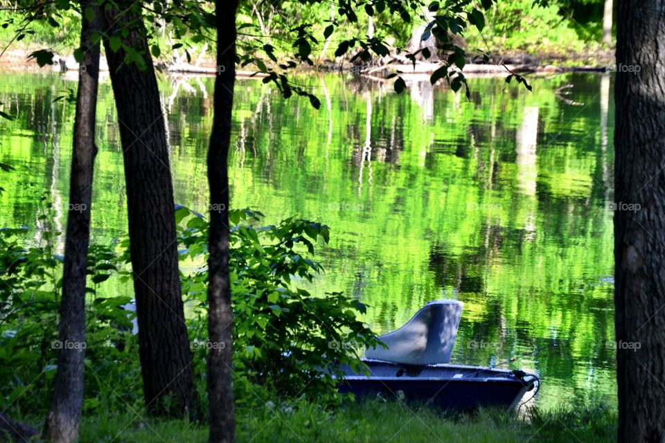 View of the beautiful lake 