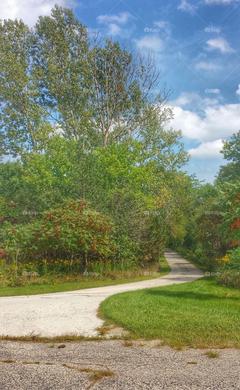 Nature. Curved Entry to Park