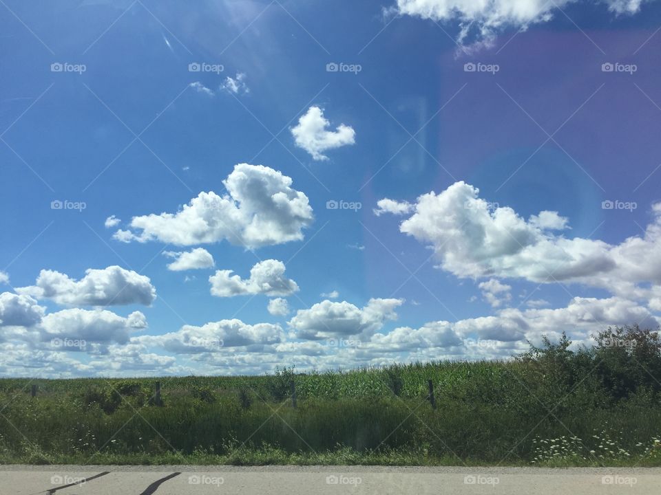 Field of clouds