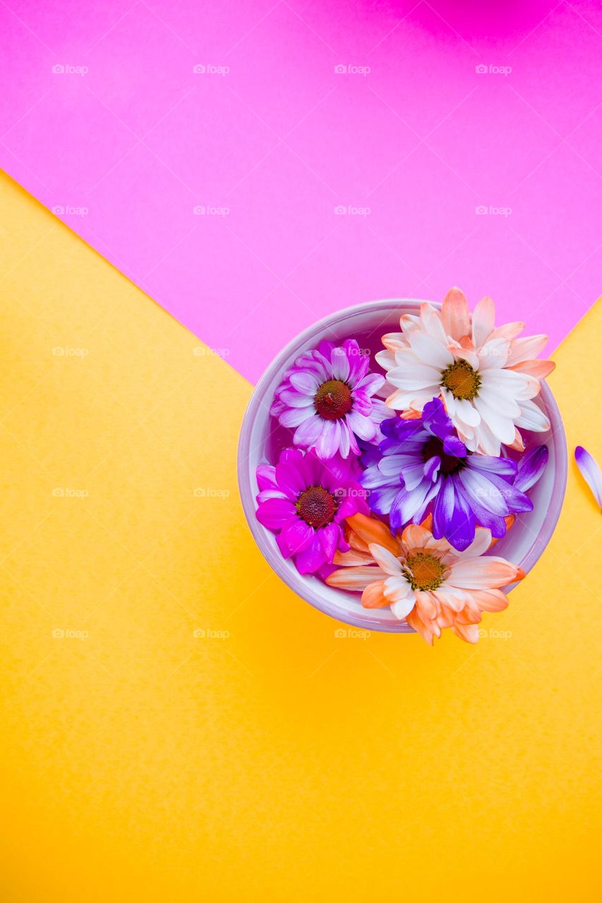 Orange and pink flowers in a bowl with orange and pink background