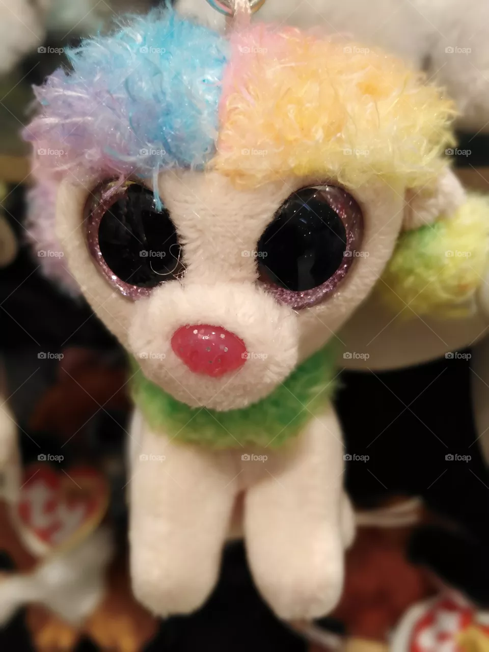 Dogy