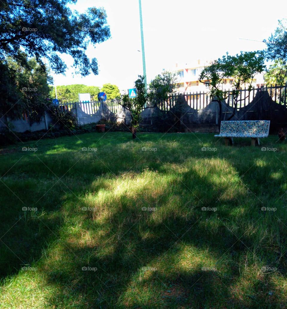 Bench, garden, grass,nature