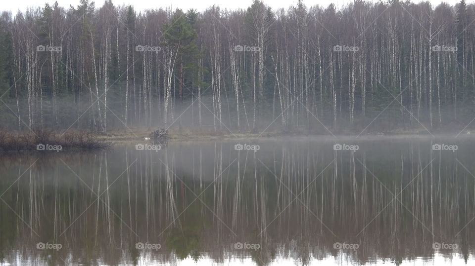 fog over the pond after the May thunderstorm