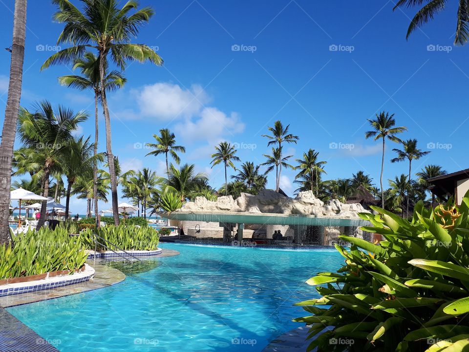 Resort, Tropical, Palm, Hotel, Luxury