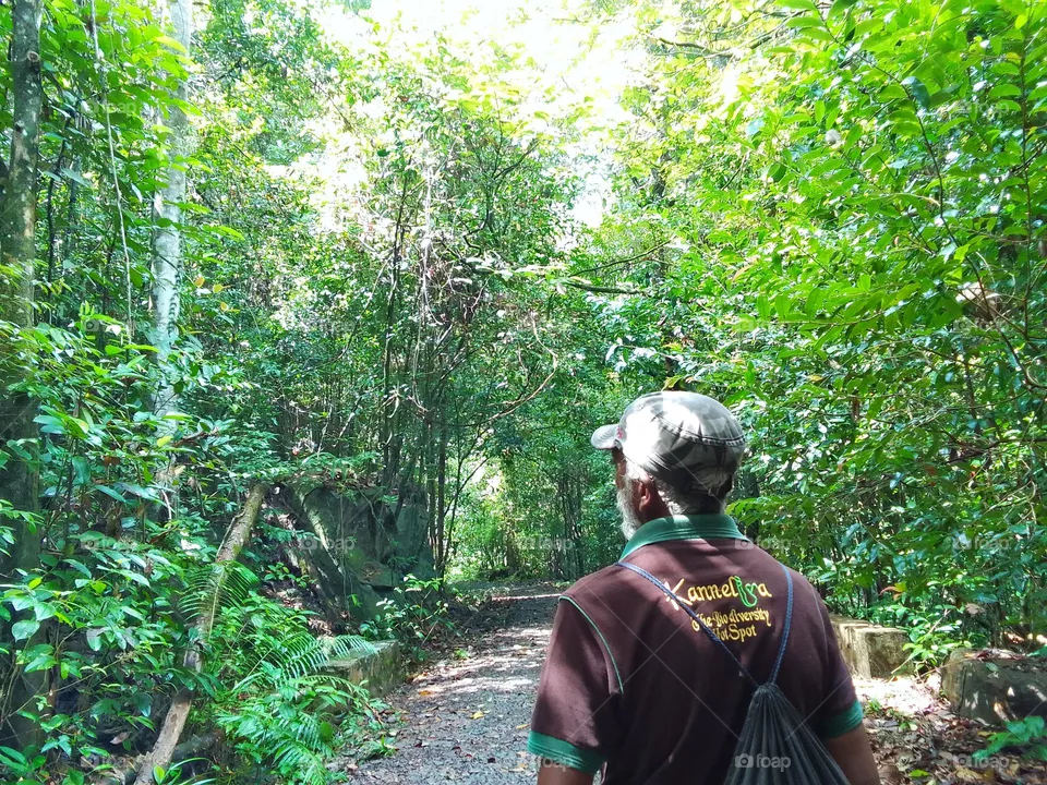 Kanneliya forest