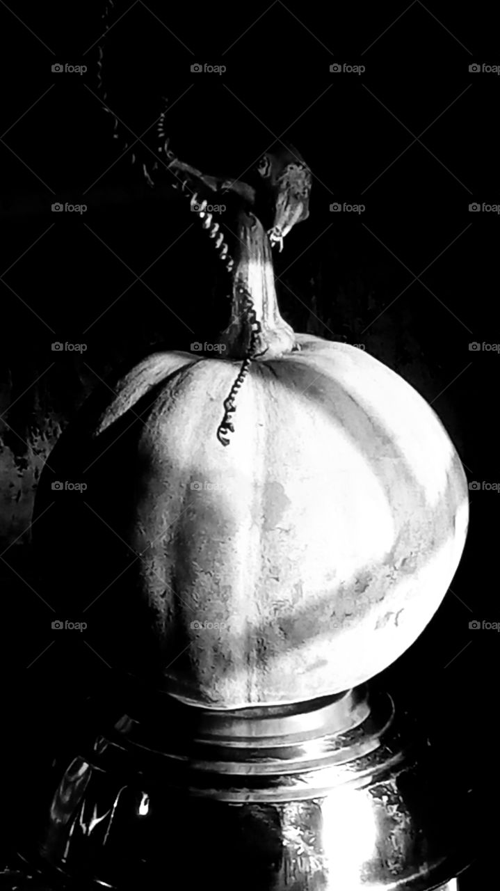 this wegetable is very nice click and beautyfull