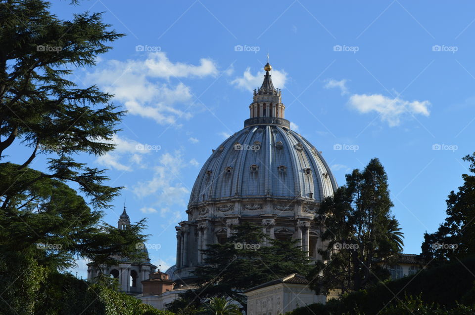 Vatican rome
