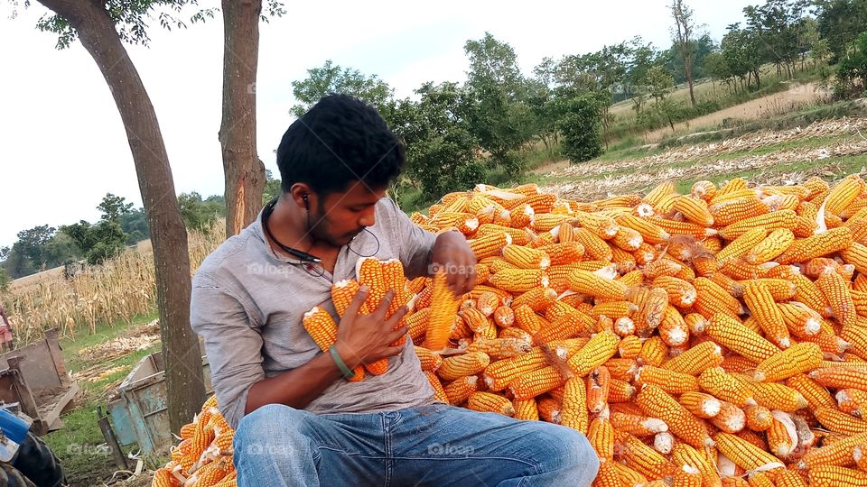 happy farmer with maize