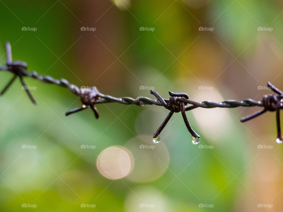 dew drop on steel rusty