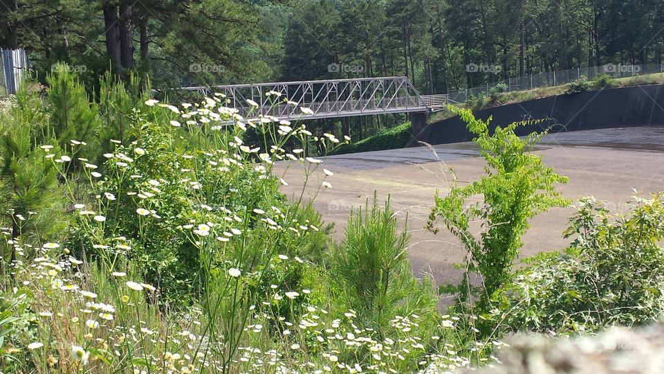 No Person, Nature, Wood, Landscape, Outdoors