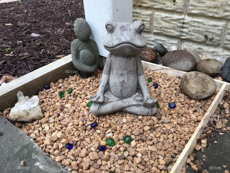 Zen frog in a Japanese garden