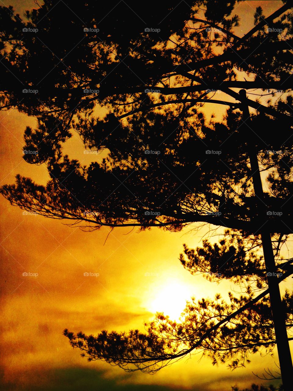 Beautiful sky in the evening. 