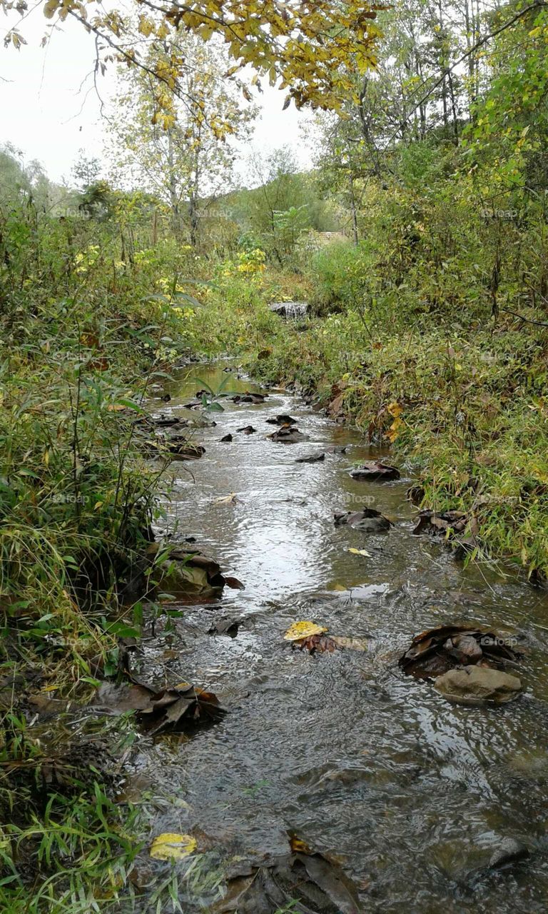 Country Creek In Fall