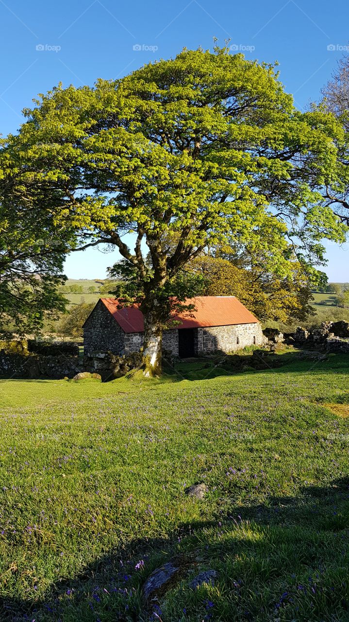 Dartmoor