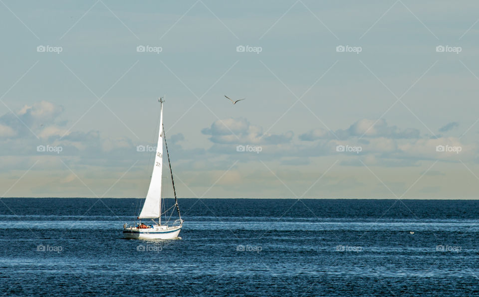 Sail boat at open sea