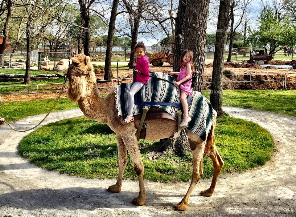Two girls sitting on camel