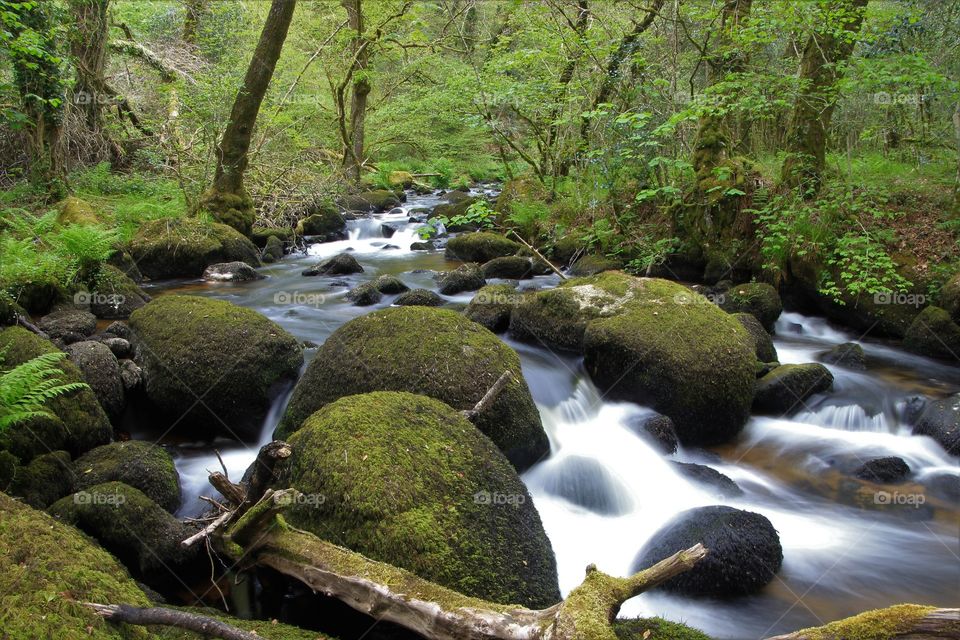 Stream, Water, Waterfall, River, Moss