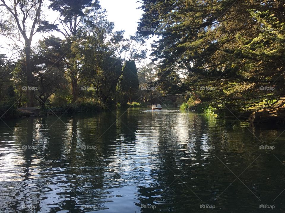 Tree, Water, Lake, No Person, River