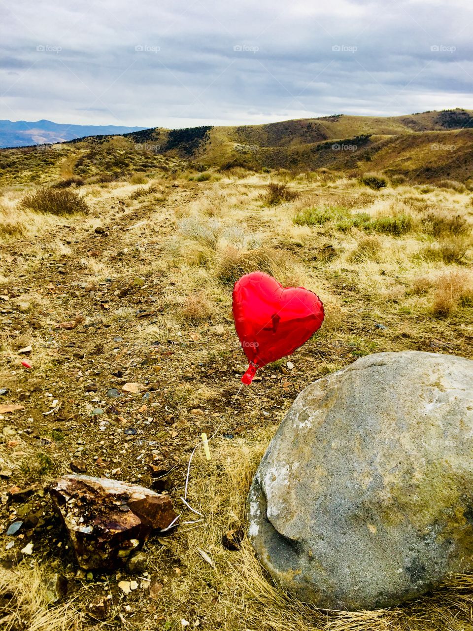 Memorial Balloon