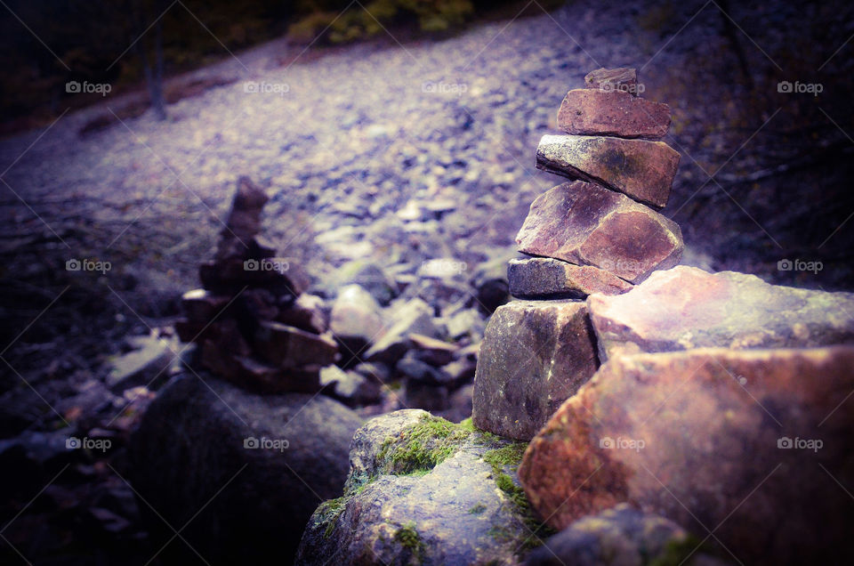 rocks in forest