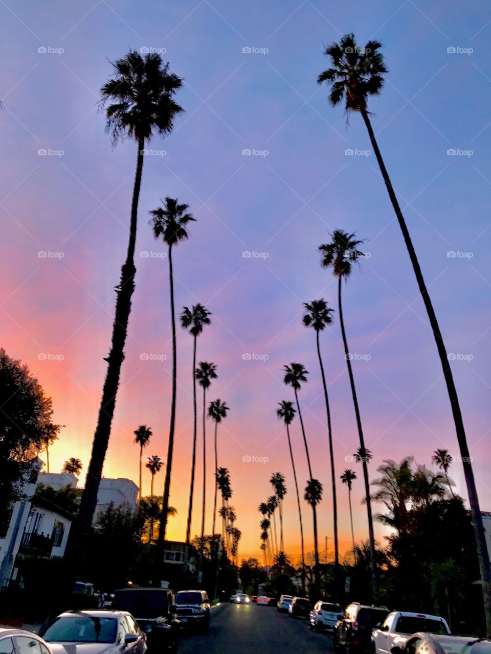 Santa Monica Street at Dusk