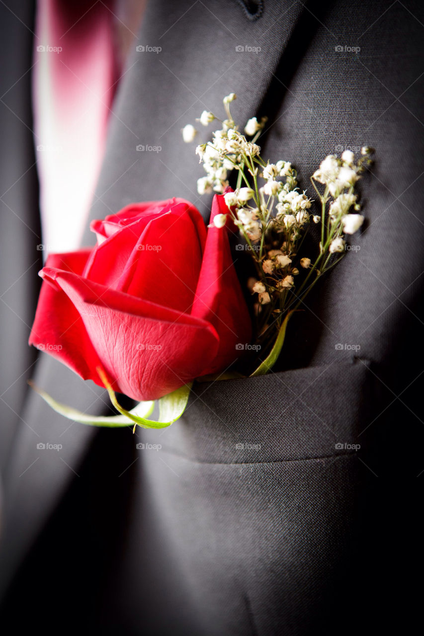 flower love rose wedding by mark_t