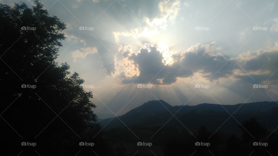 Doubt thou the stars are fire;
Doubt that the sun doth move;
Doubt truth to be a liar;
But never doubt I love.