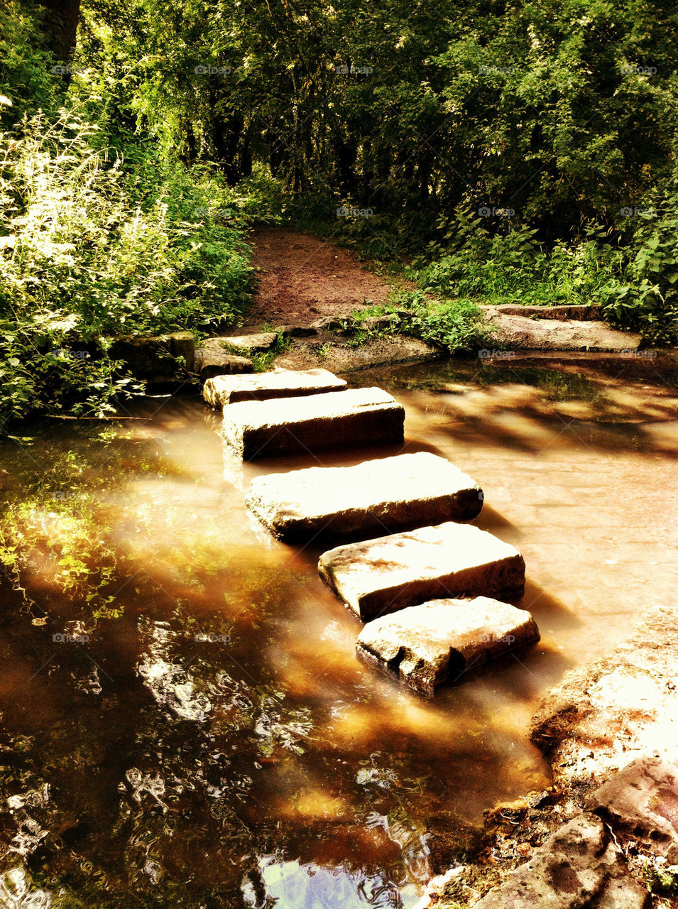 Peaceful water with stepping stones