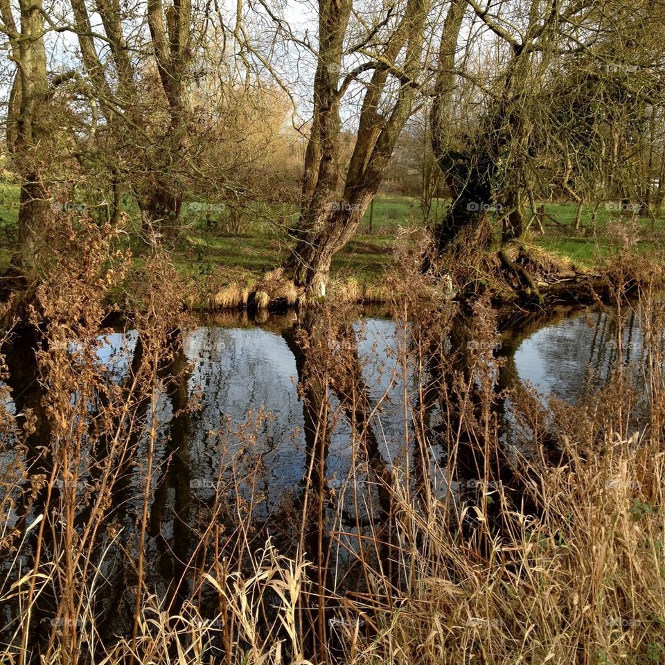 Reflections on the river
