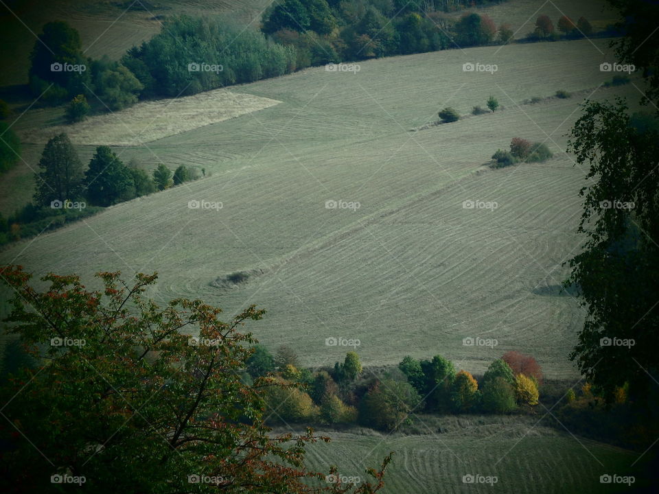 Hills near Włodowice