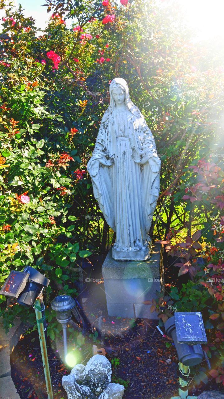 garden of the blessed virgin, shine your light down