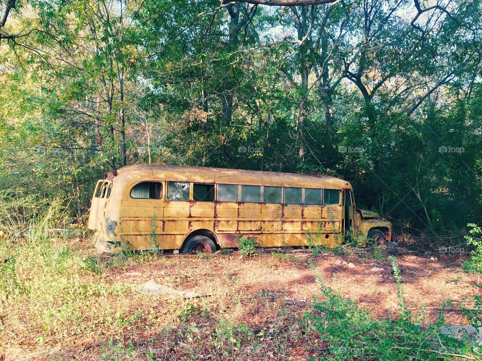 Retro school bus