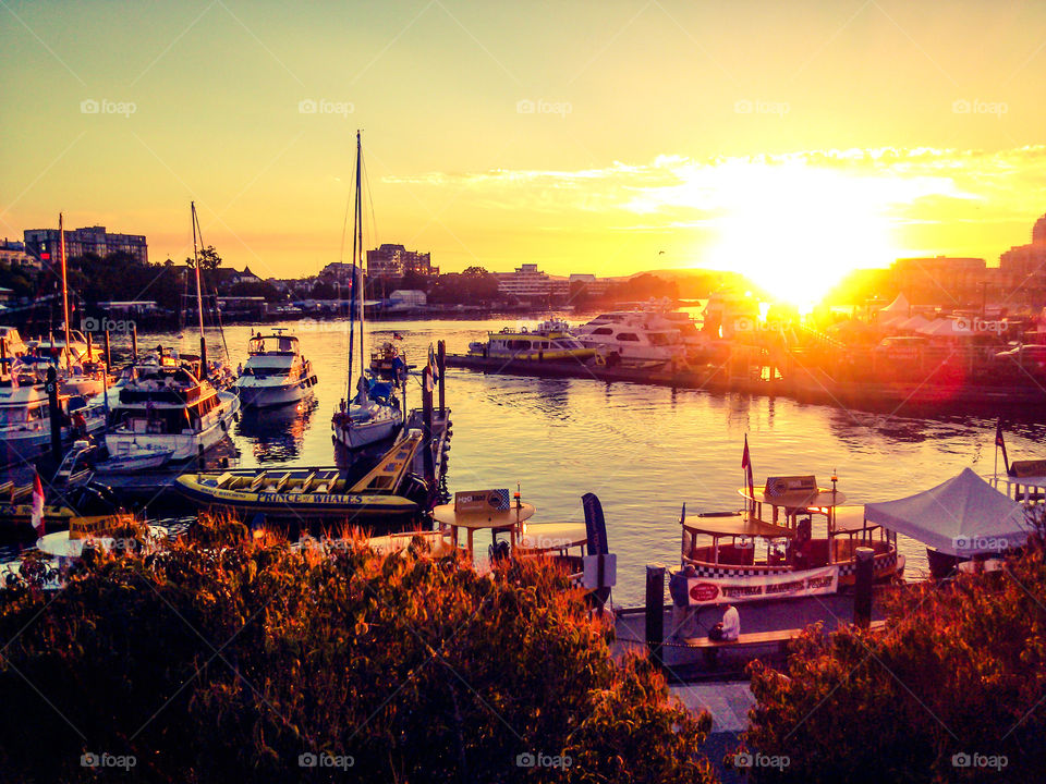 Inner Harbour Sunset. Photo was taken at the Inner Harbour in Victoria, BC at dusk!