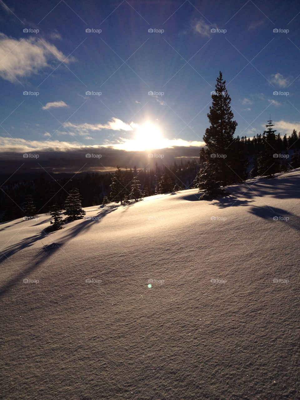 truckee snow winter sun by cpotter