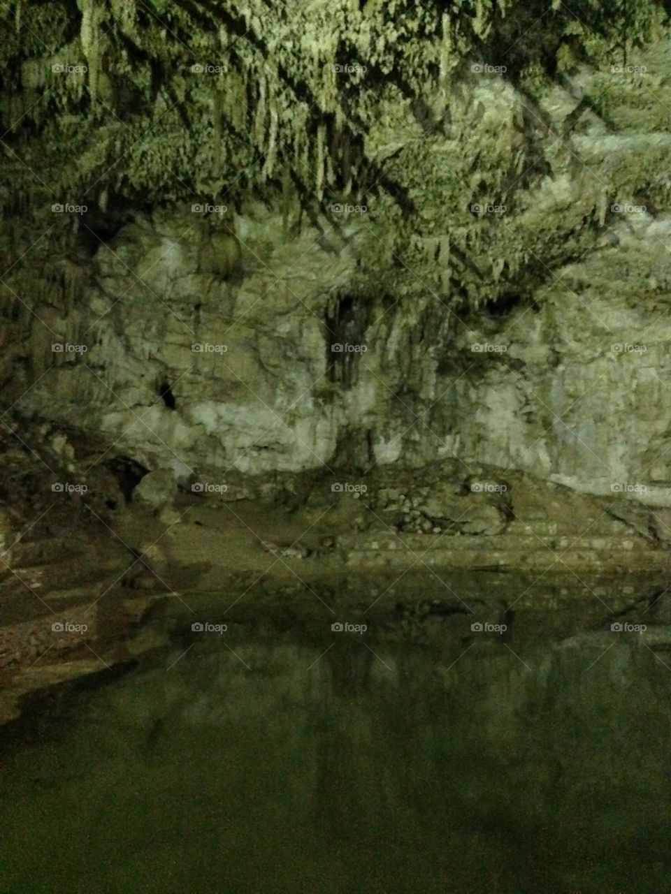 Yucatán Mexico Cenote