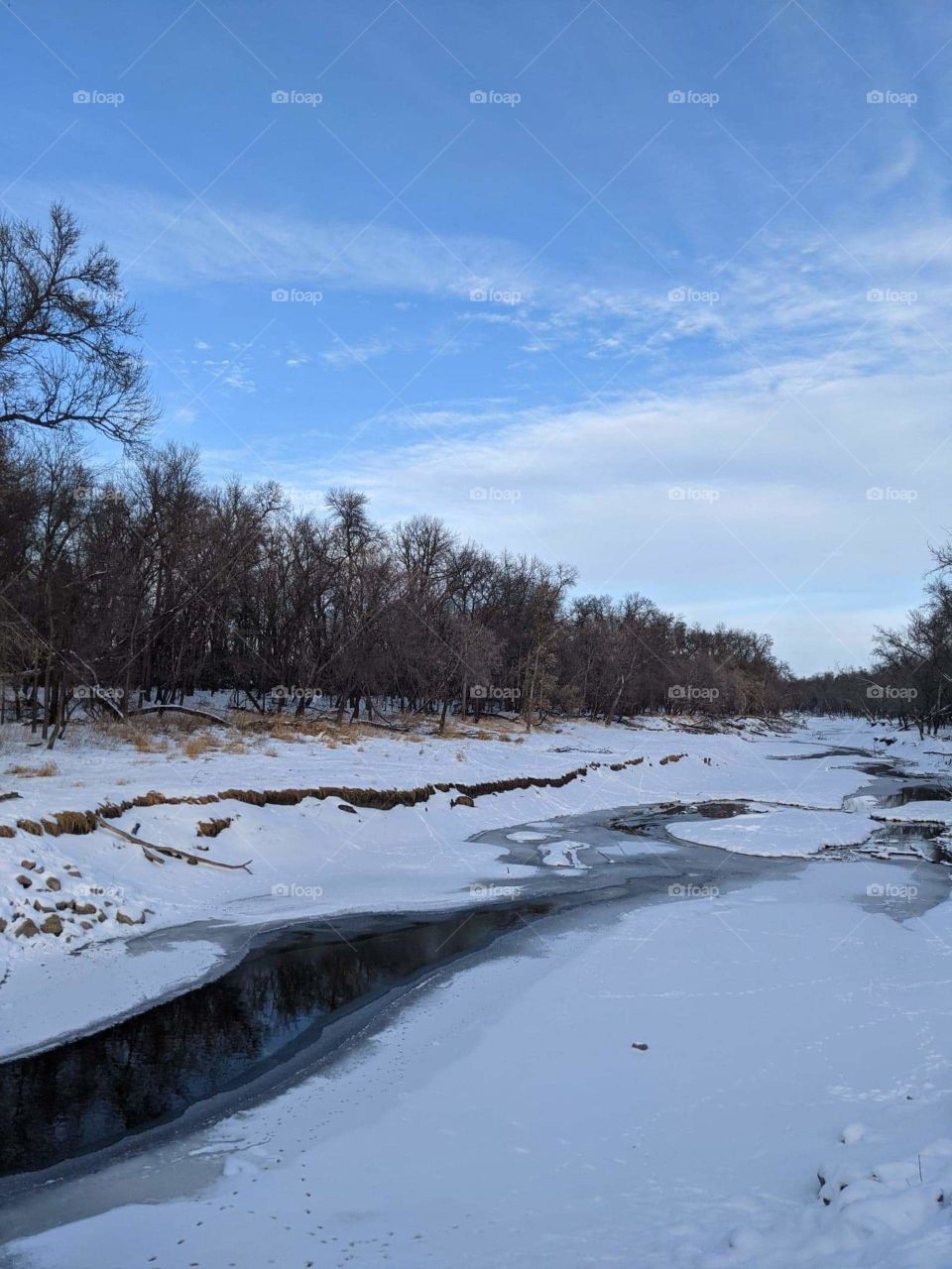 A Creek in the winter