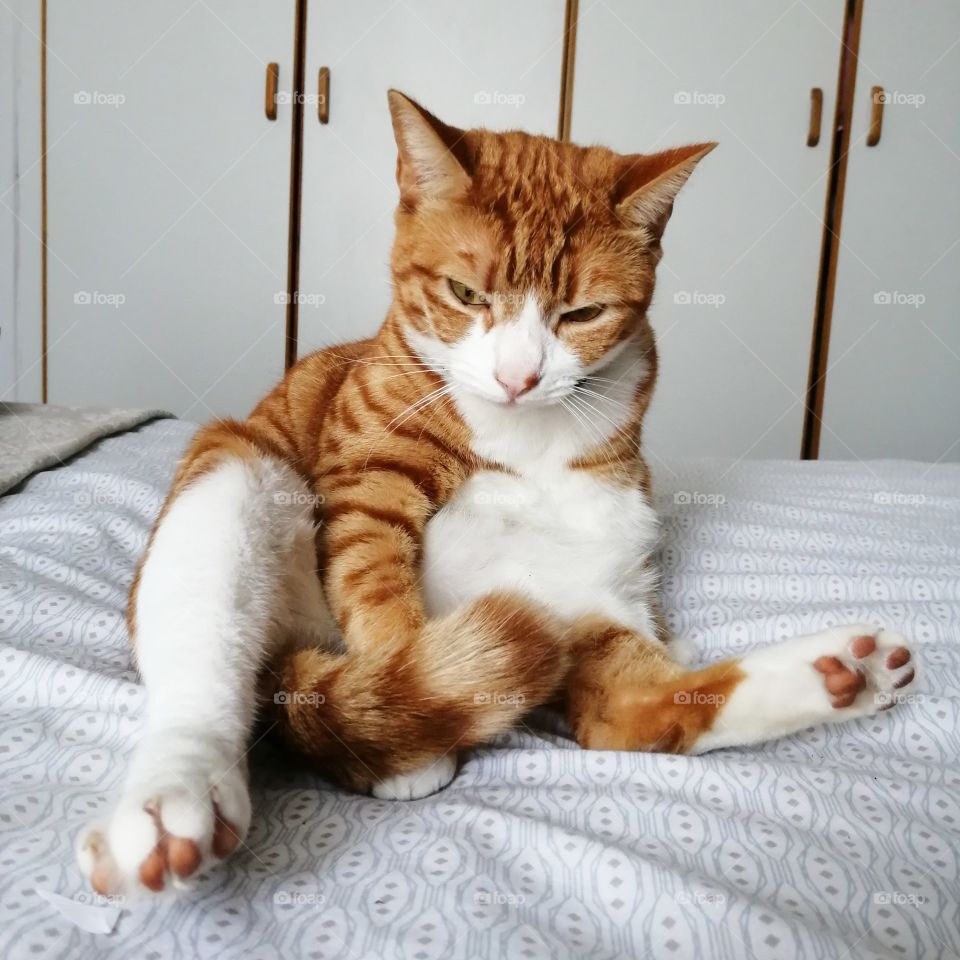 It's Sunday, leave me alone.