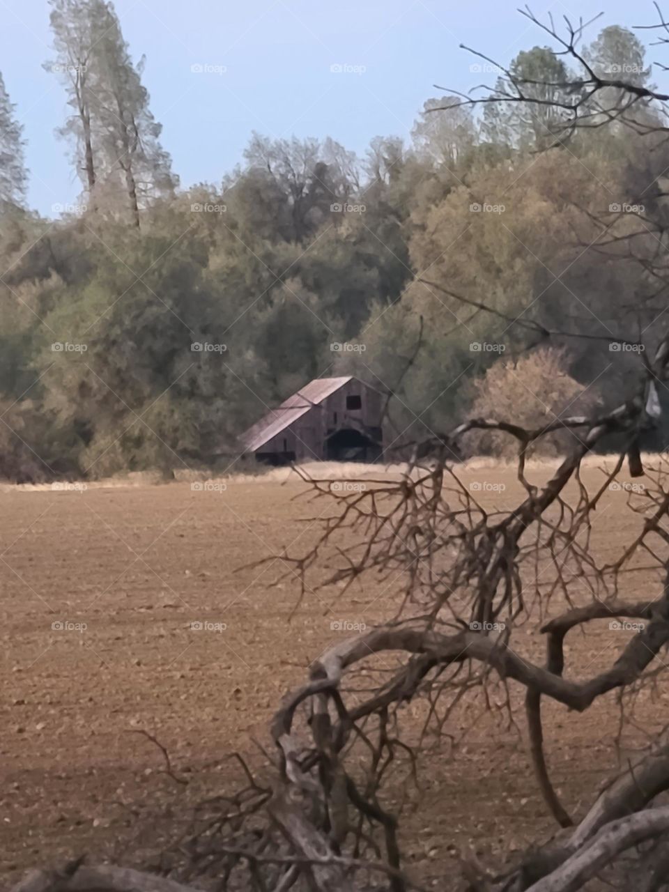 I happen to know that a man shot himself, in that barn.  No one has used it, since.  It is falling into decay, like the mind of its erstwhile owner.  No one checks on it.  No one would dare.  Madness lives inside.
