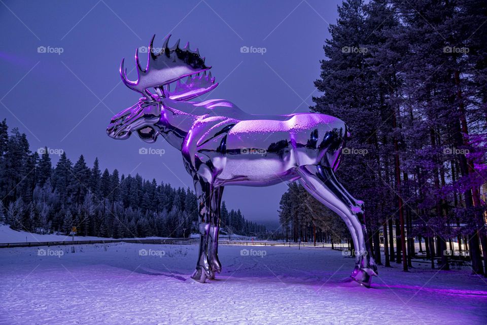 Steel Moose 