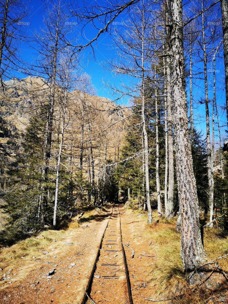 Connection with nature italy