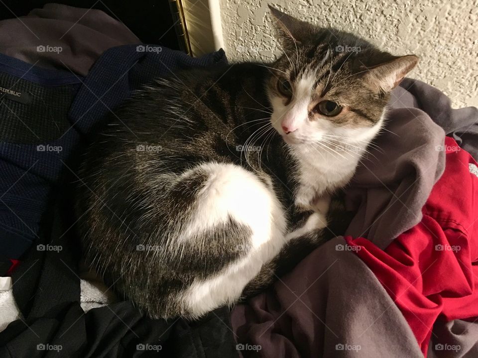 I noticed that these clothes were fire fee, well don’t worry I fixed it for you.