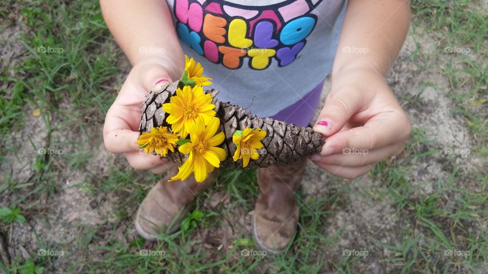 pinecone with flowers