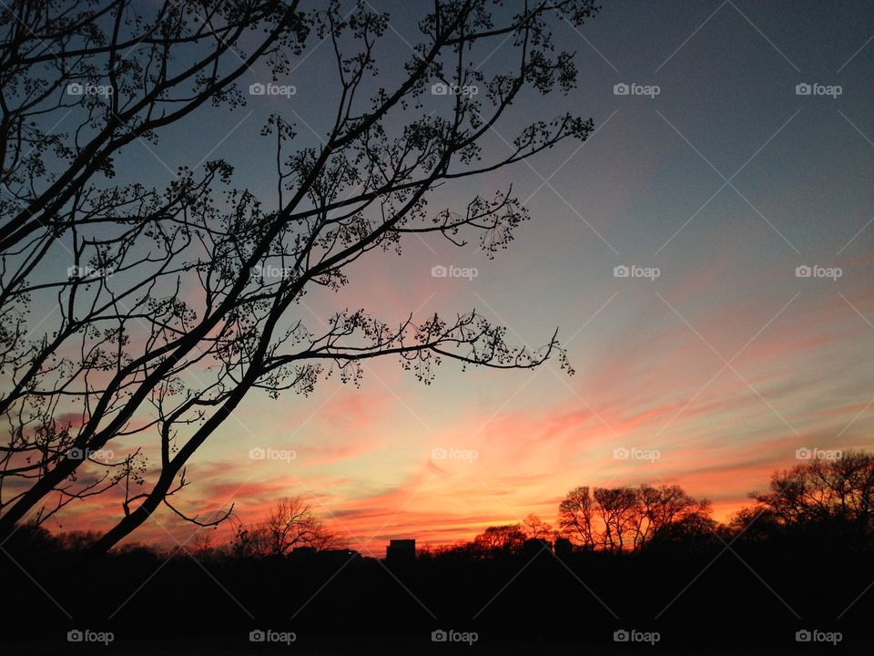 Texas sunset with silhouette of bare crape myrtle tree in foreground 